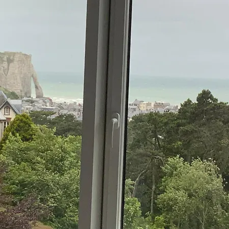 Panorama, Vue Et Falaises D Etretat
