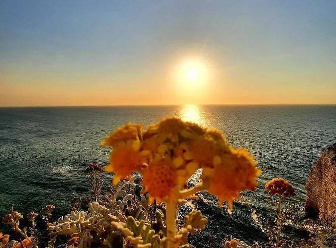 Panorama, Vue Et Falaises D Exception Villa Etretat